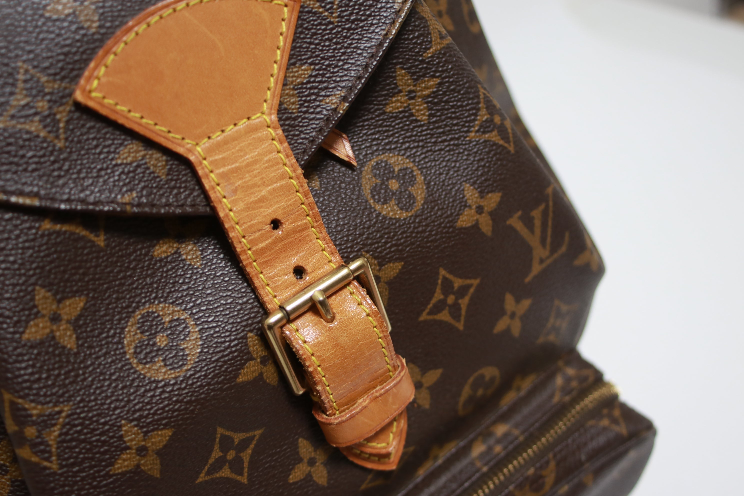 Louis Vuitton Montsouris GM Backpack Used