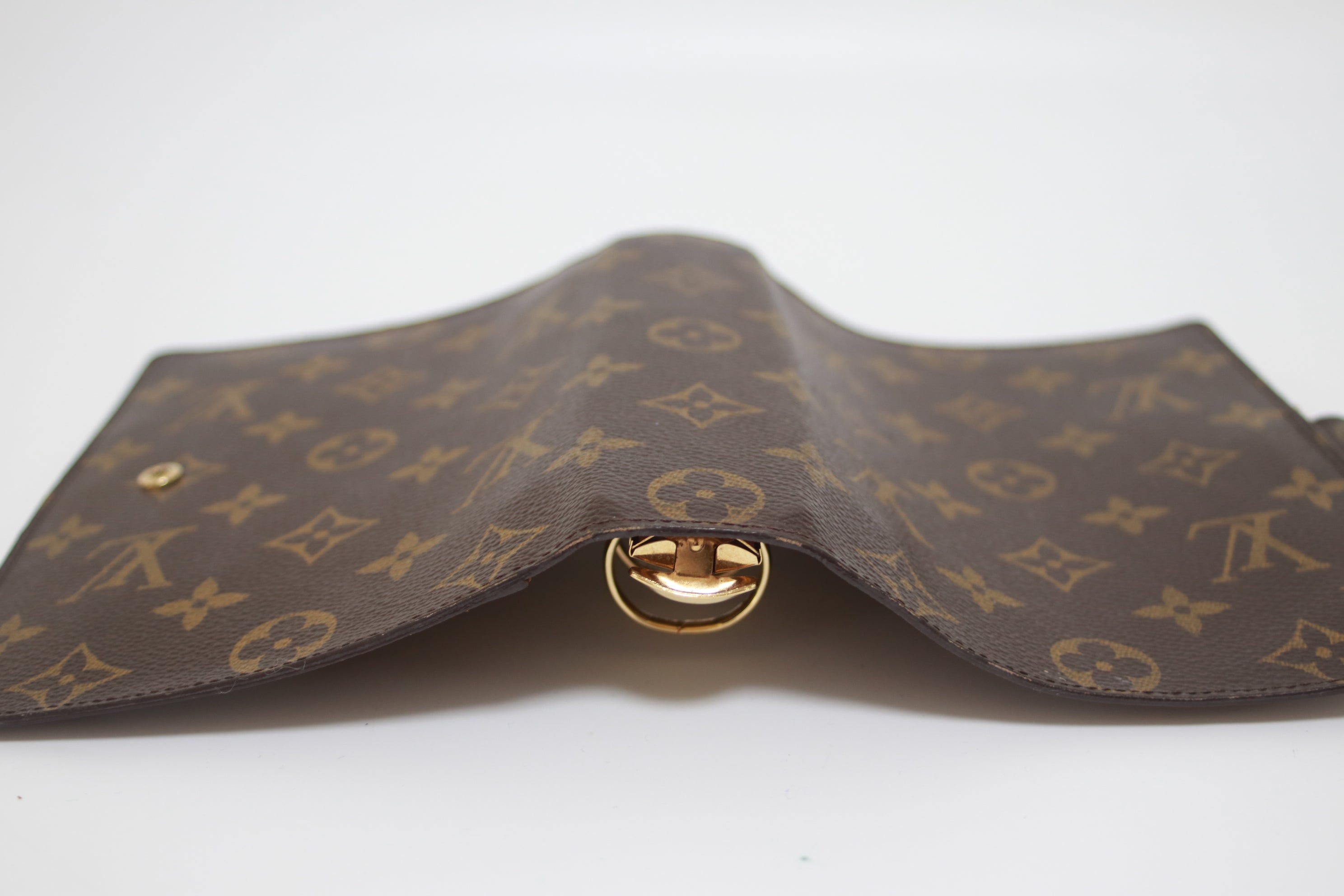 Louis Vuitton Agenda MM Cover Used (7260)