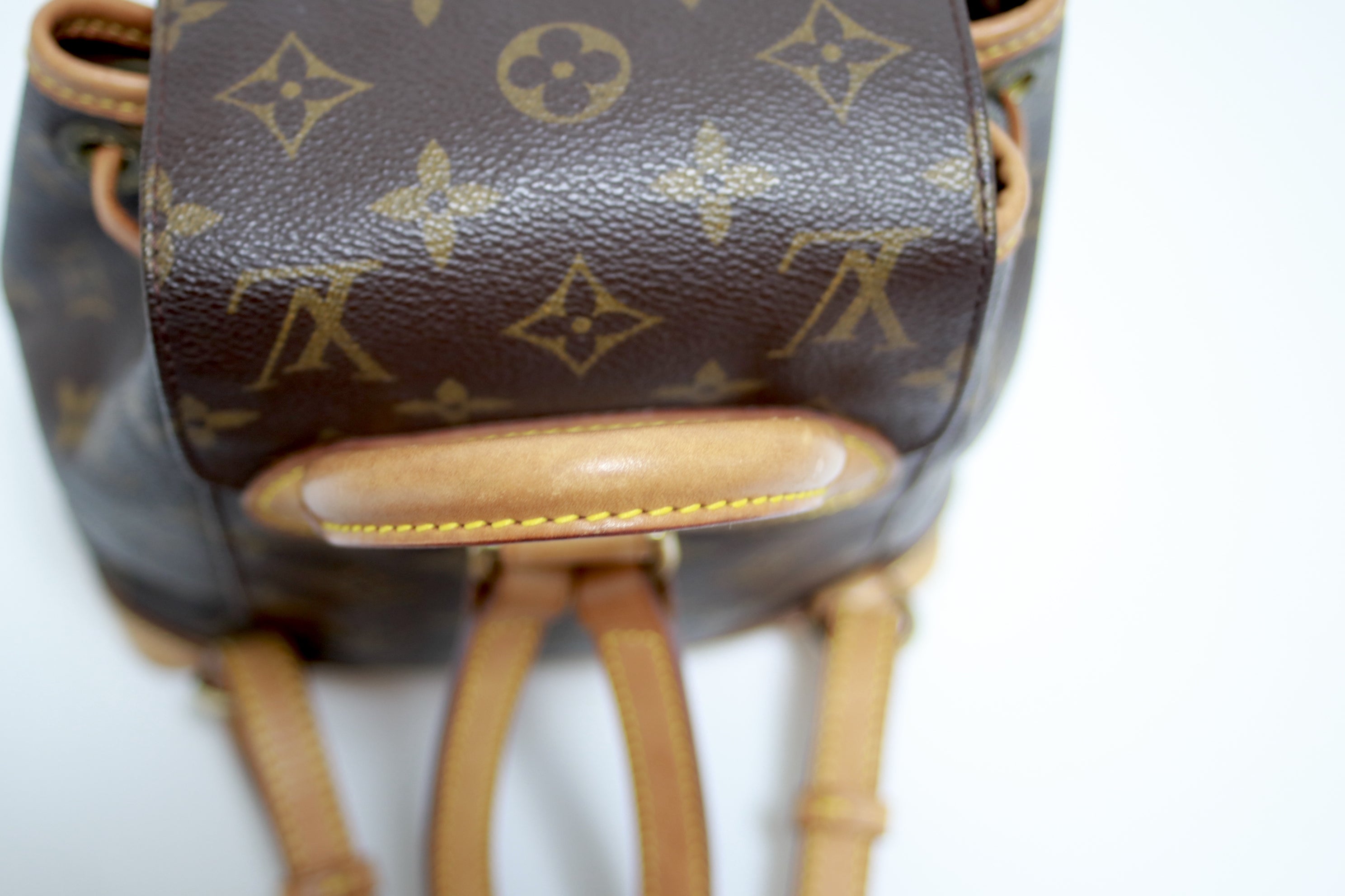 Louis Vuitton Montsouris Pm/Mini Backpack Used