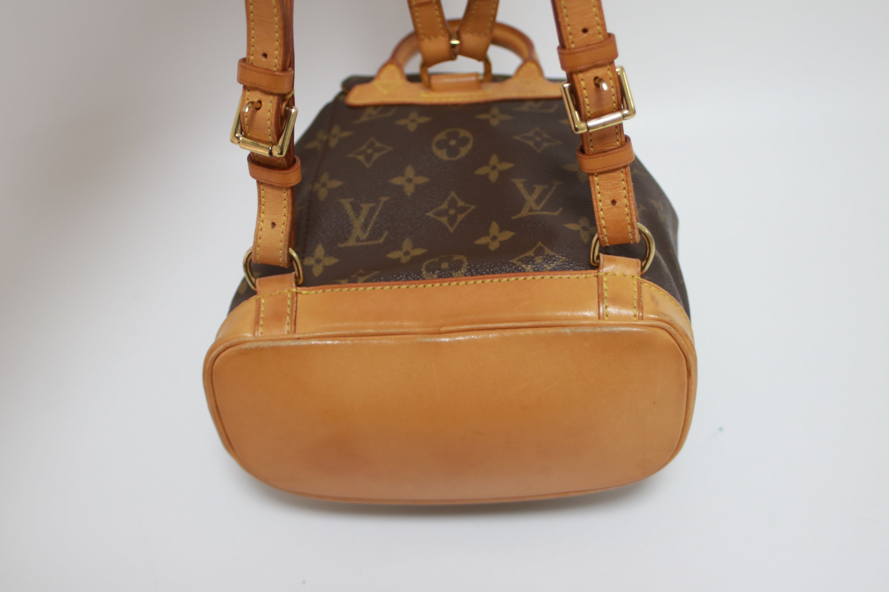 Louis Vuitton Montsouris PM Backpack Used